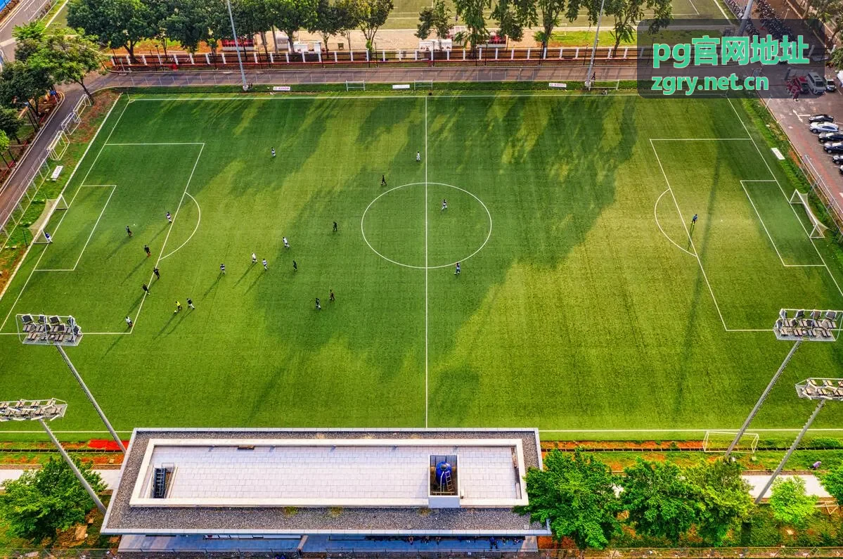 pg官网地址最新动态资讯