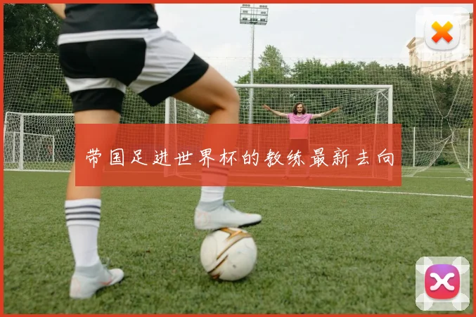 带国足进世界杯的教练最新去向