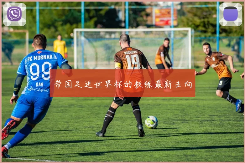 带国足进世界杯的教练最新去向