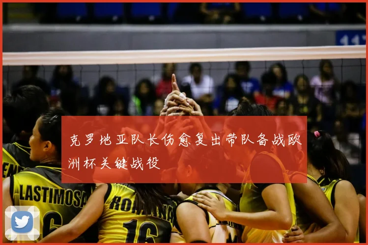 克罗地亚队长伤愈复出带队备战欧洲杯关键战役